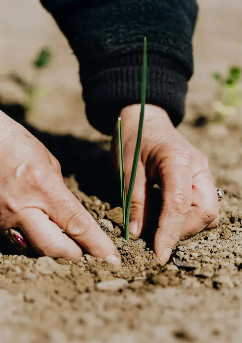 Soil Research